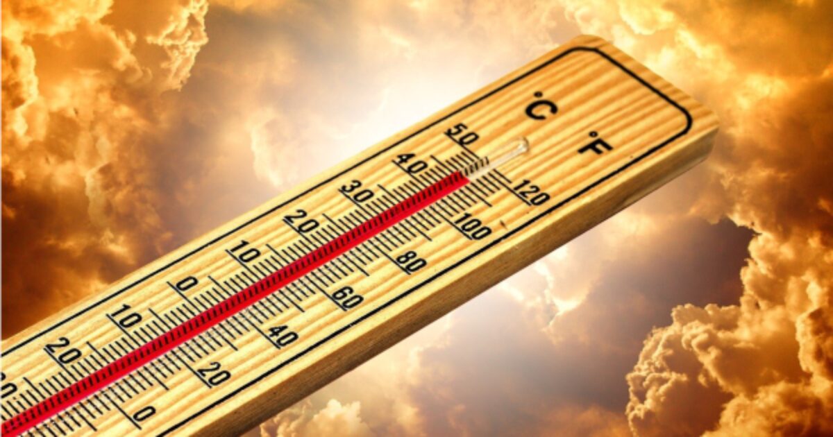 Hungary lifts night truck traffic ban on August 9–10 due to heatwave